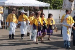 raduno confraternite, maggio 2012 - foto francesco vallo