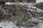 leuca, nevicata del 7 gennaio 2017 - foto giovanna colaci