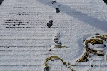 leuca, nevicata del 7 gennaio 2017 - foto piccola nautica