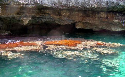 Grotte del Presepe, degli Innamorati e Titti a Leuca - Grotte marine