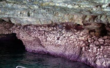 grotta di Mesciu Scianni
