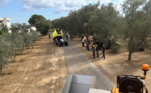 CAMPAGNA OLIVICOLA: COLDIRETTI PUGLIA, AL VIA RACCOLTA OLIVE CON PRODUZIONE GIÙ FINO A OLTRE IL 40%; MA LA QUALITÀ È OTTIMA